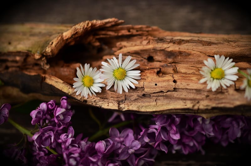 Magical Arrangements